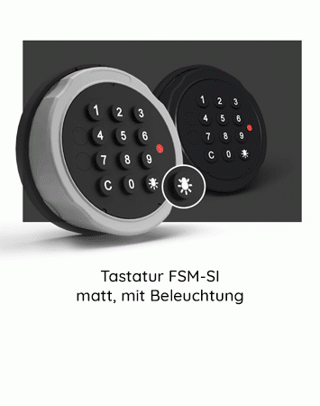 FSM-SI chrom-matt, mit Beleuchtung, wählbar für Primor Schlösser