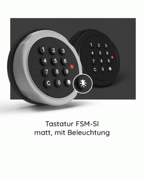 FSM-SI chrom-matt, mit Beleuchtung, wählbar für Primor Schlösser